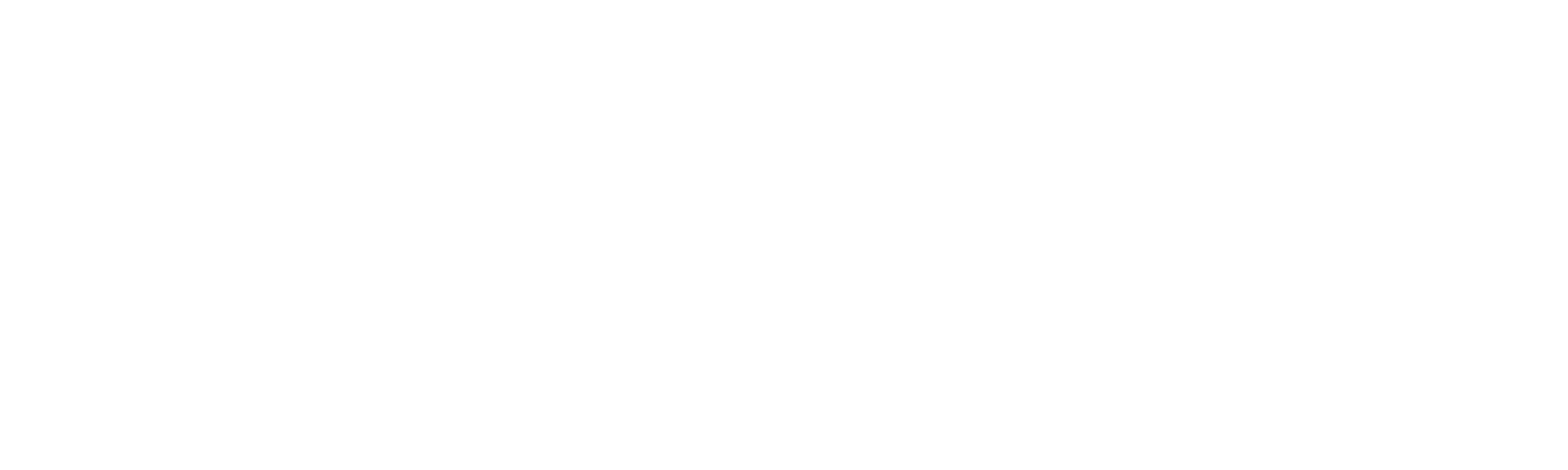 logo Satelital